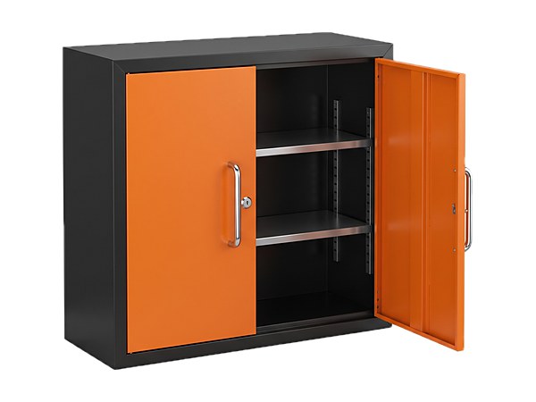 Wall-Mounted Cabinet